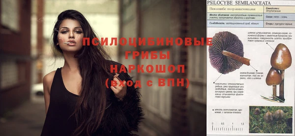 мескалин Алексин