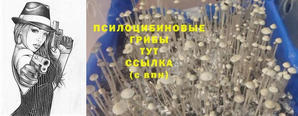 твердый Балабаново