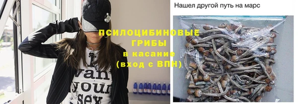 гашик Алзамай