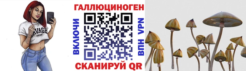 Галлюциногенные грибы прущие грибы Купить Владикавказ
